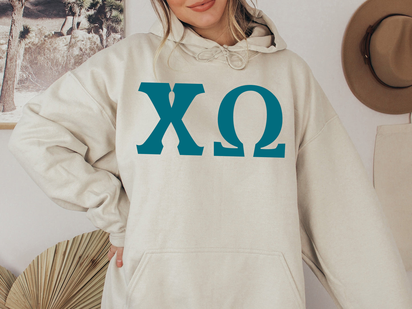Chi Omega Back to the Basics Sorority Hoodie _ 631g