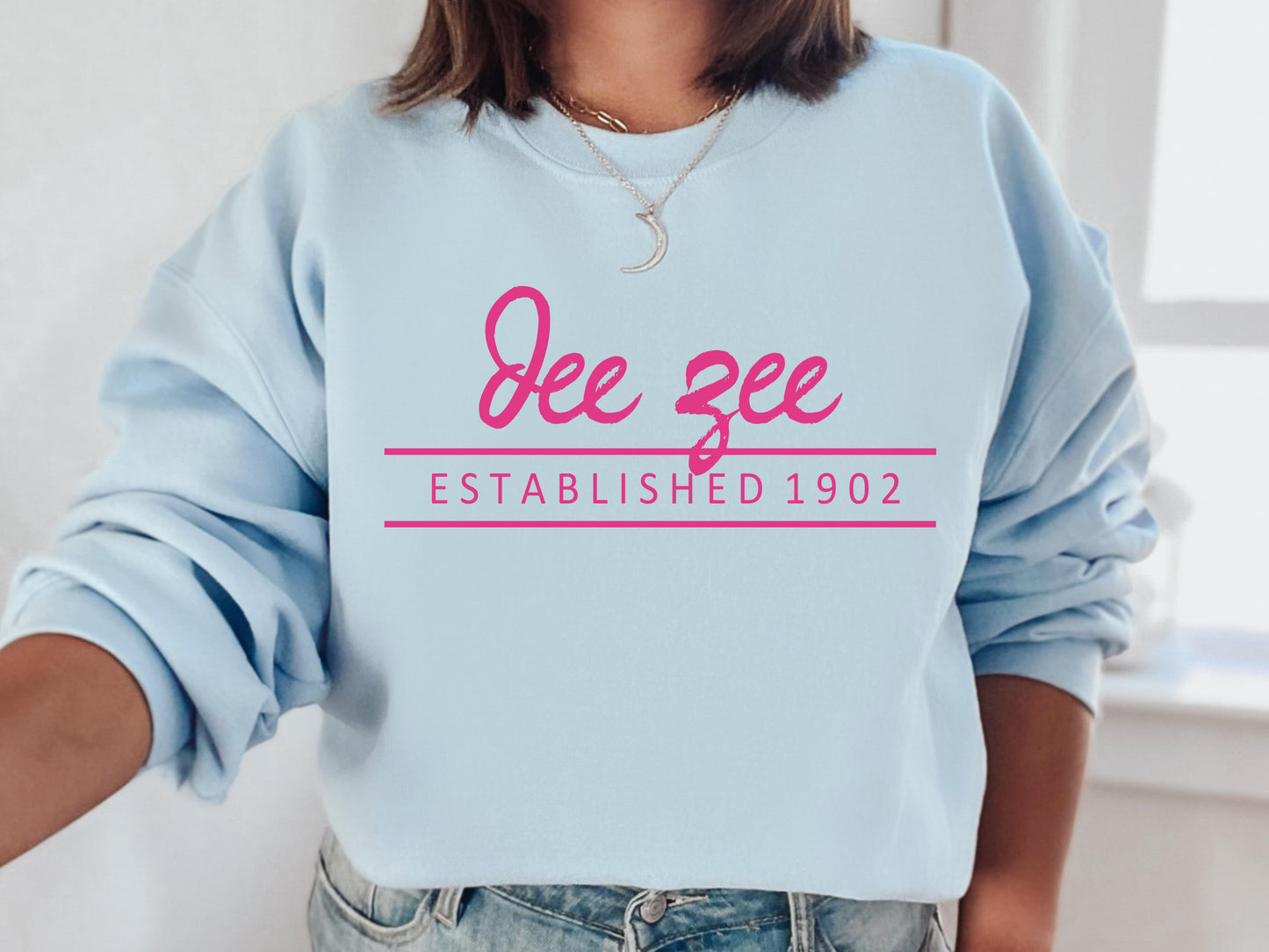 Delta Zeta All Pink Sorority Sweatshirt _ 765g