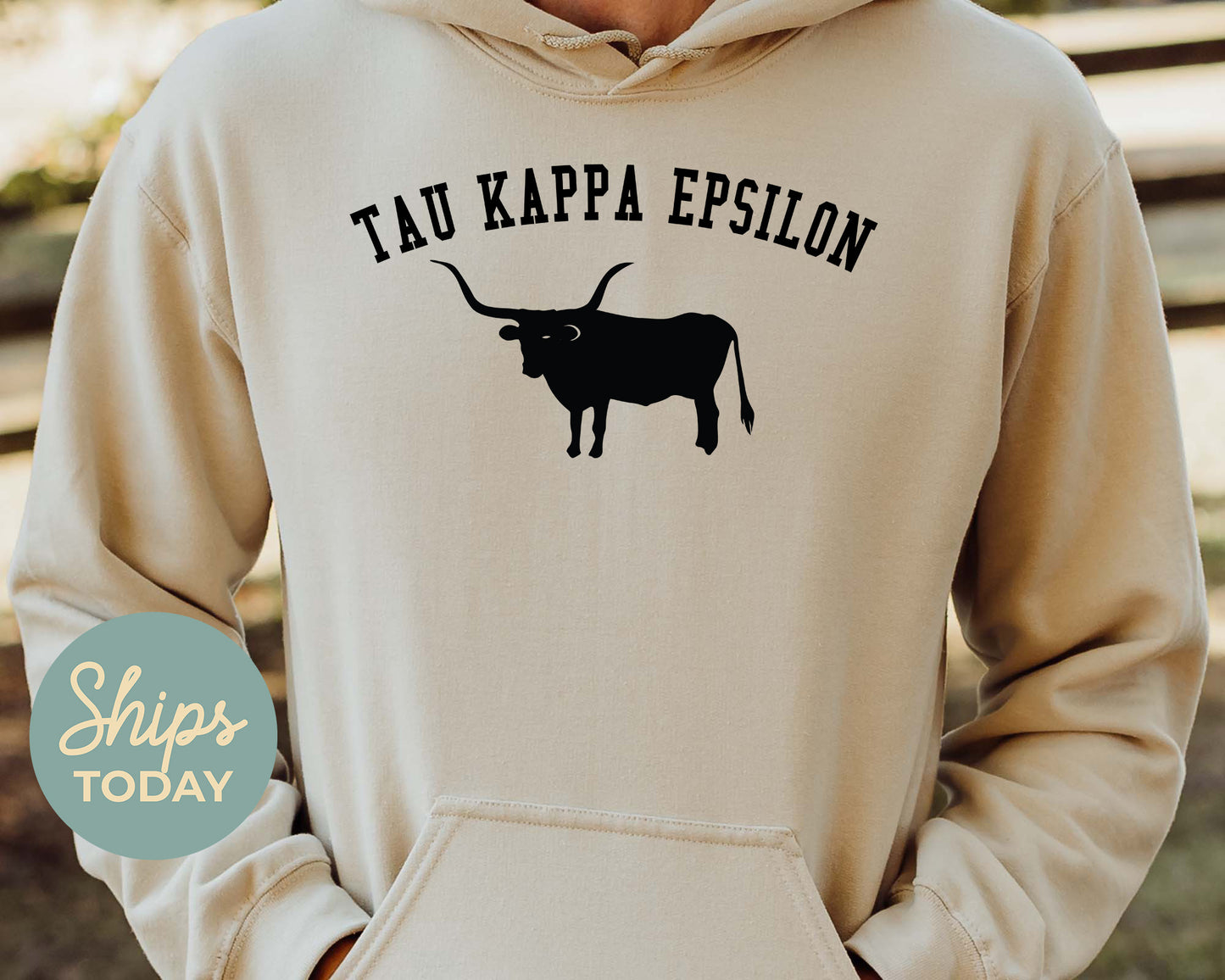 Tau Kappa Epsilon Long Horn Fraternity Hoodie _ 1551g