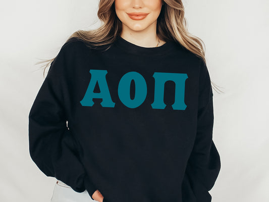 Alpha Omicron Pi Back to the Basics Sorority Sweatshirt  _ 626g