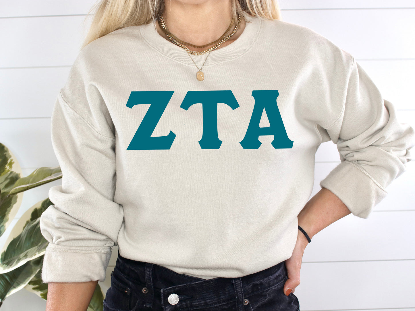 Zeta Tau Alpha Back to the Basics Sorority Sweatshirt _ 647g