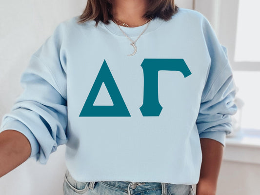 Delta Gamma Back to the Basics Sorority Sweatshirt _ 633g
