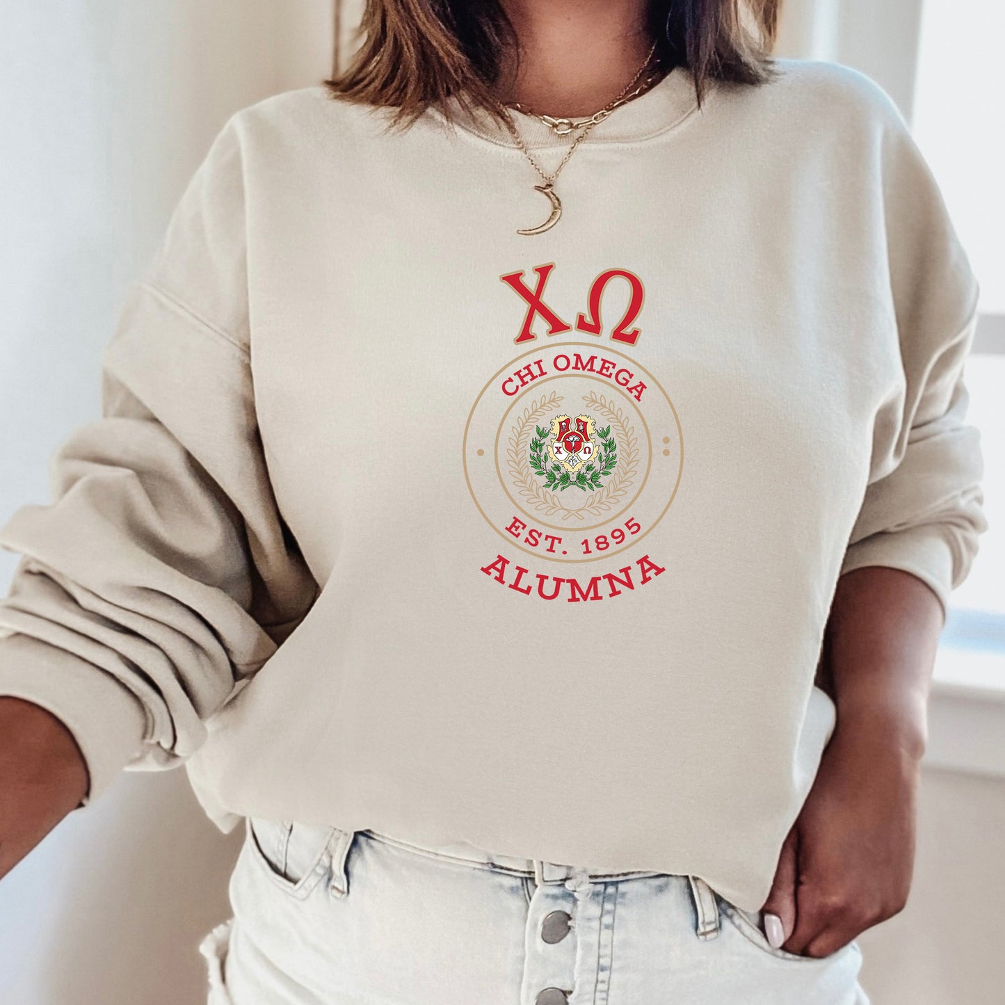 Chi Omega Alumna Vintage Sorority Sweatshirt _ 31018g