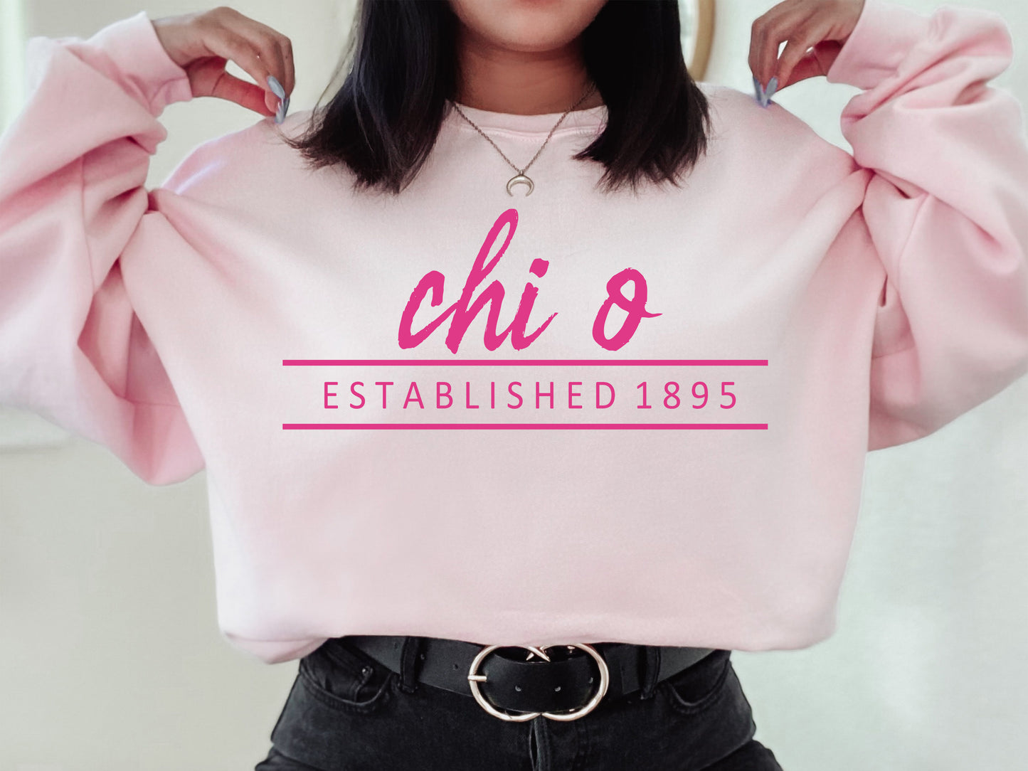 Chi Omega All Pink Sorority Sweatshirt _ 761g