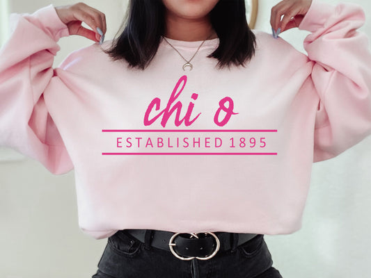 Chi Omega All Pink Sorority Sweatshirt _ 761g