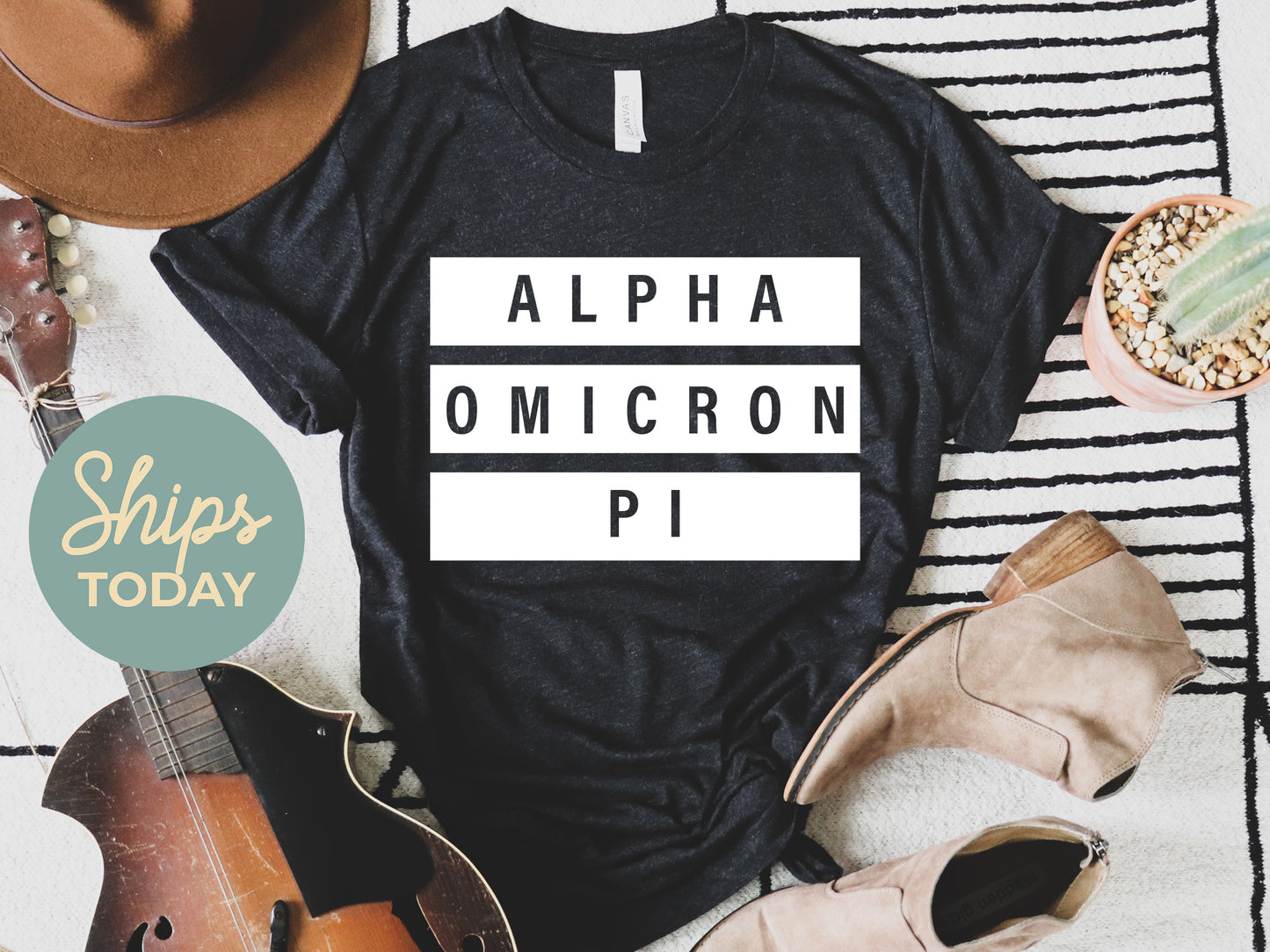 Alpha Omicron Pi Faded White Box Sorority T-shirt _ 3337g