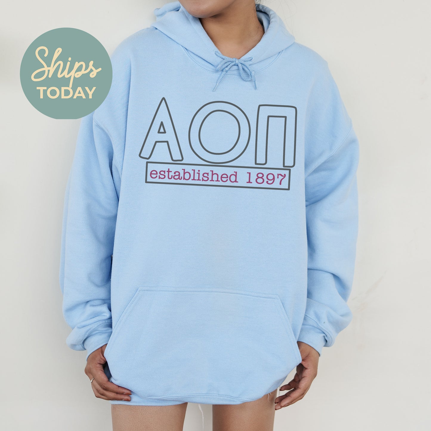 Alpha Omicron Pi Simply Greek Sorority Hoodie _ 39340g