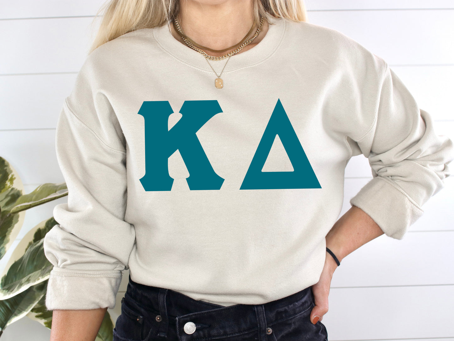 Kappa Delta Back to the Basics Sorority Sweatshirt _ 638g