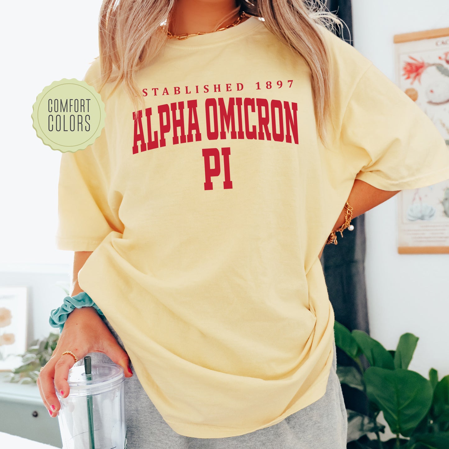 Alpha Omicron Pi Bold Letters Comfort Colors Sorority T-shirt _ 35124g