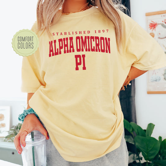 Alpha Omicron Pi Bold Letters Comfort Colors Sorority T-shirt _ 35124g