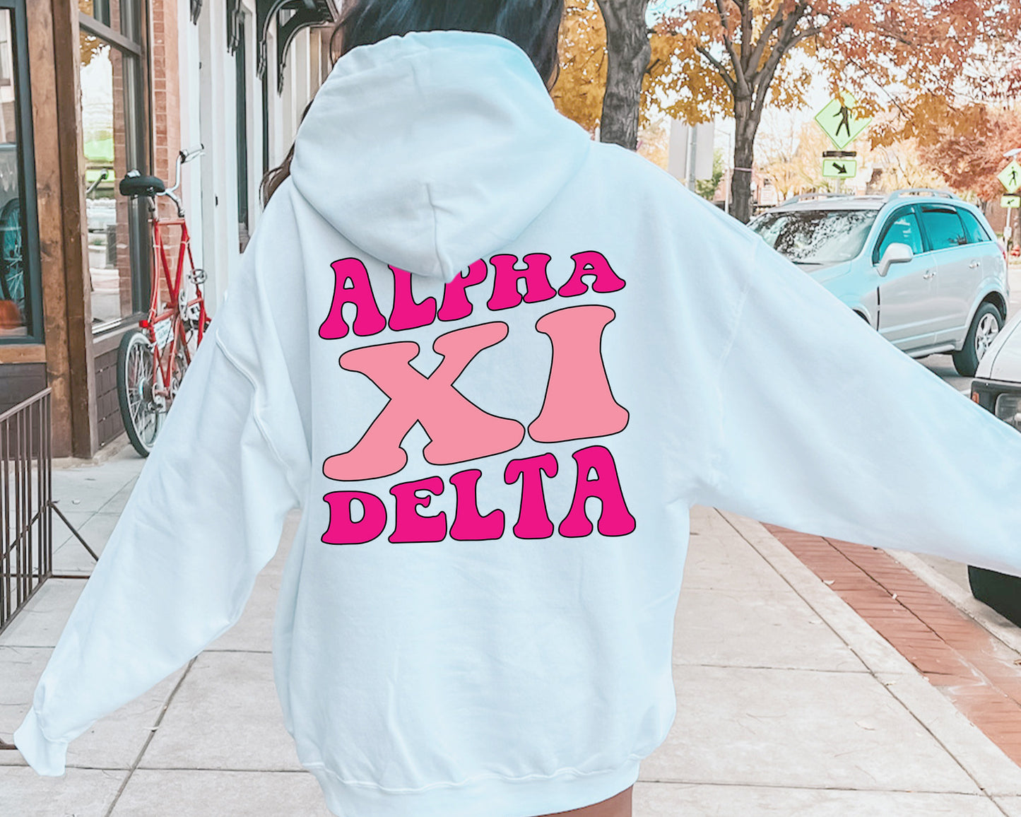 Alpha Xi Delta Shades of Pink Sorority Hoodie _ 32980g