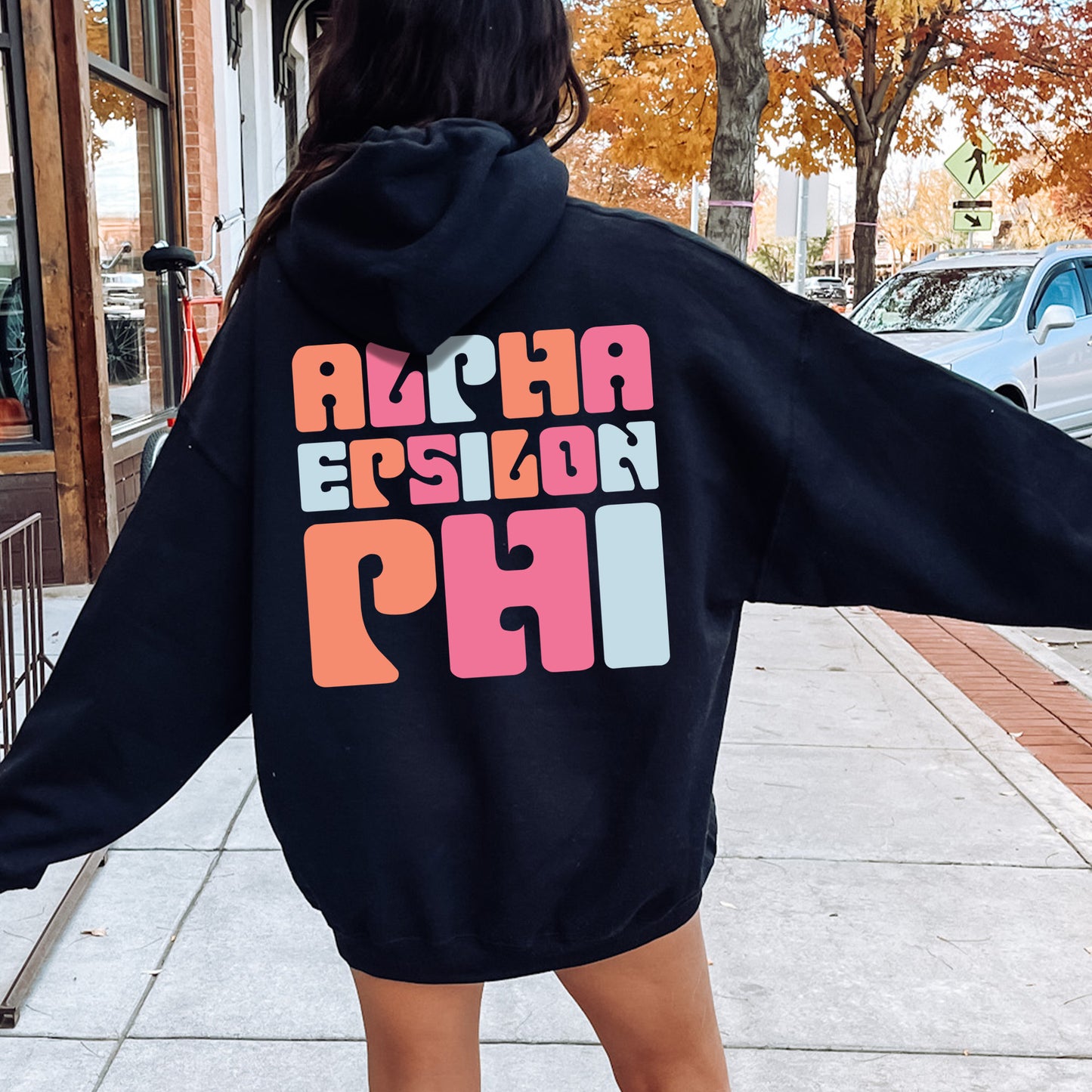 Alpha Epsilon Phi Vibrant Verve Sorority Hoodie _ 32603g