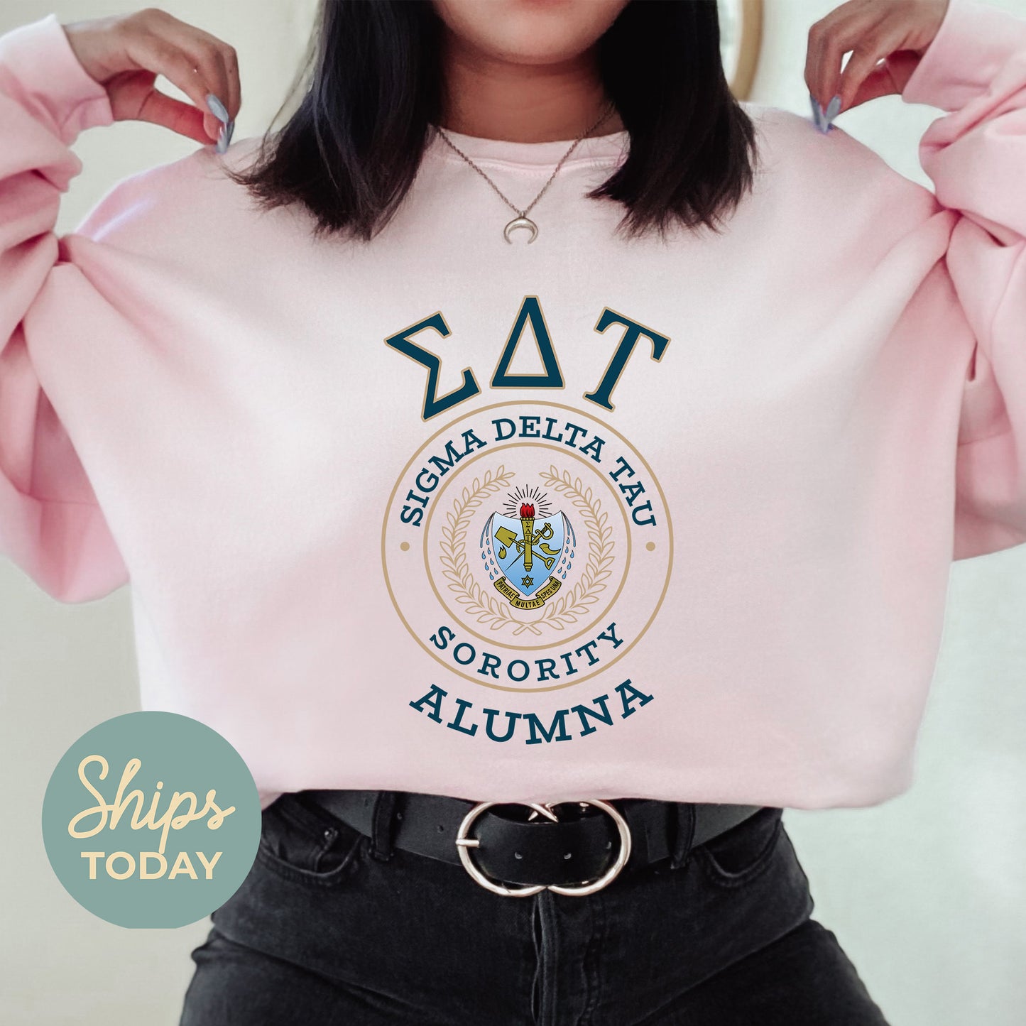 Sigma Delta Tau Alumna Vintage Sorority Sweatshirt _ 31030g