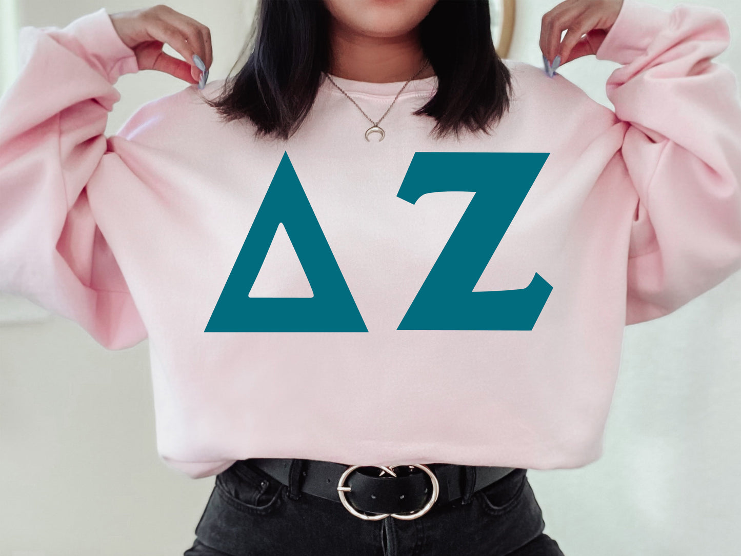 Delta Zeta Back to the Basics Sorority Sweatshirt _ 635g