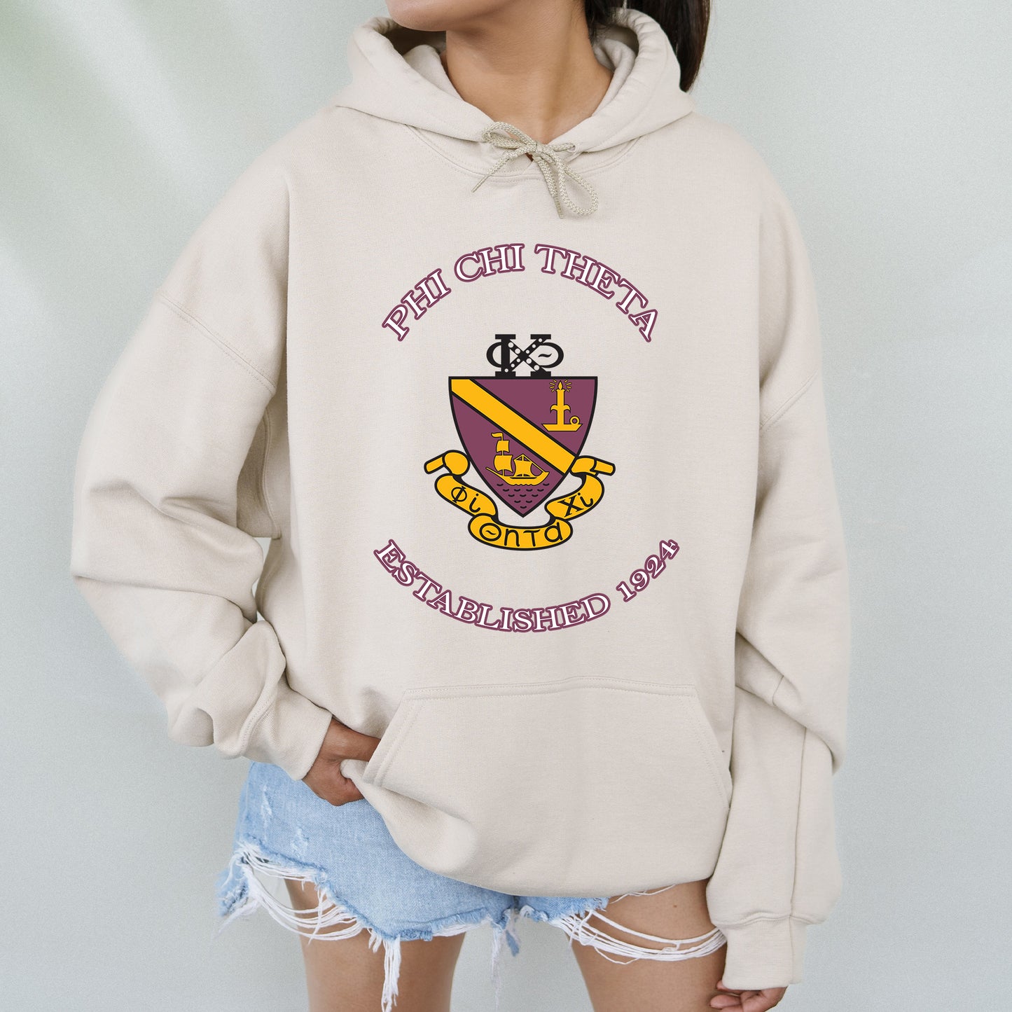 Phi Chi Theta Iconic Insignia COED Hoodie _ 35673g