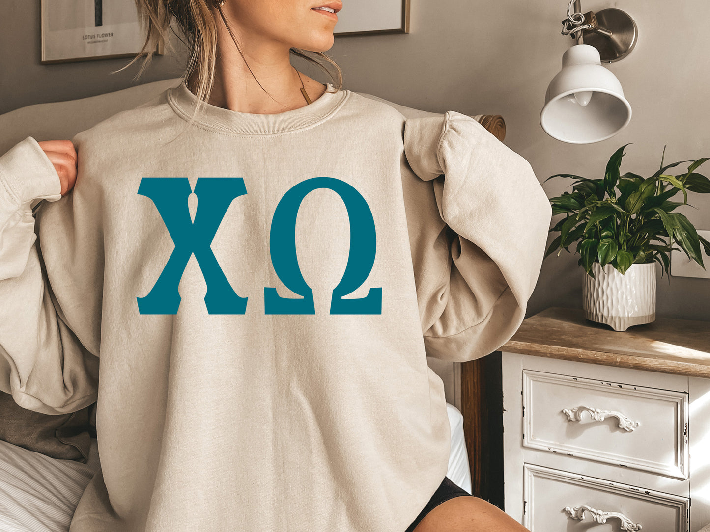 Chi Omega Back to the Basics Sorority Sweatshirt _ 631g