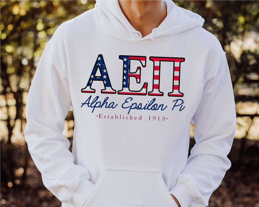 Alpha Epsilon Pi American Flag Letters Fraternity Hoodie _ 1155g