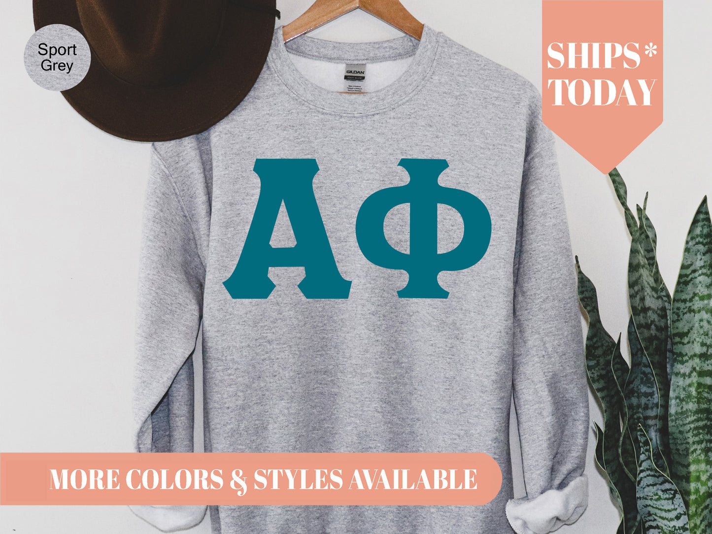 Alpha Phi Back to the Basics Sorority Sweatshirt _ 627g