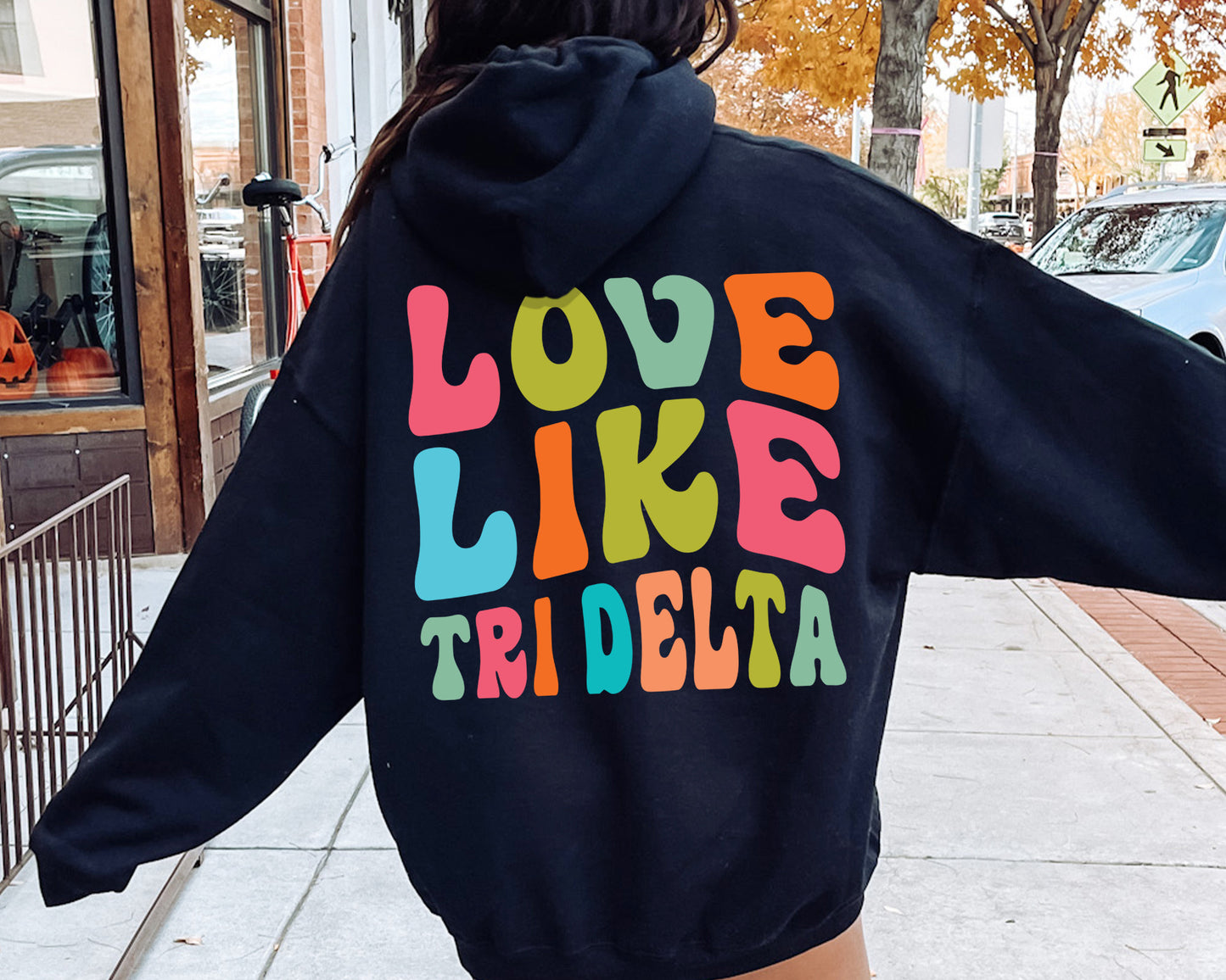 Delta Delta Delta Blissful and Vibrant Sorority Hoodie _ 33164g