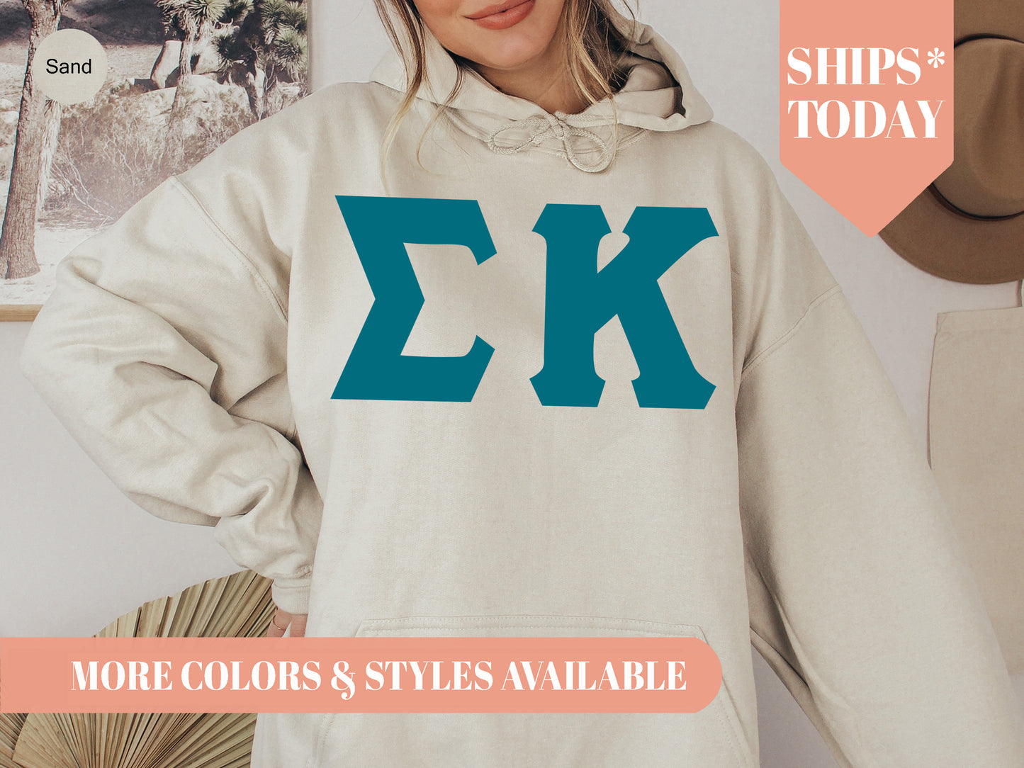 Sigma Kappa Back to the Basics Sorority Hoodie _ 644g