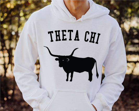 Theta Chi Long Horn Fraternity Hoodie _ 1552g