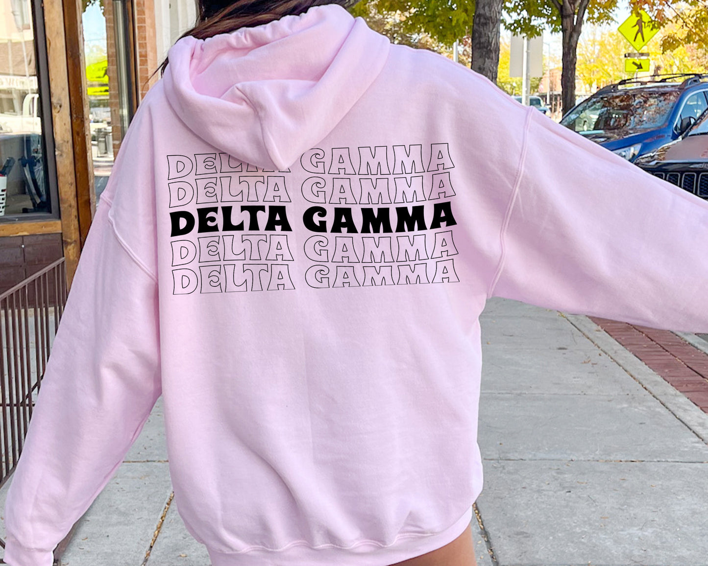 Delta Gamma Wavy Letters Sorority Hoodie _ 33409g