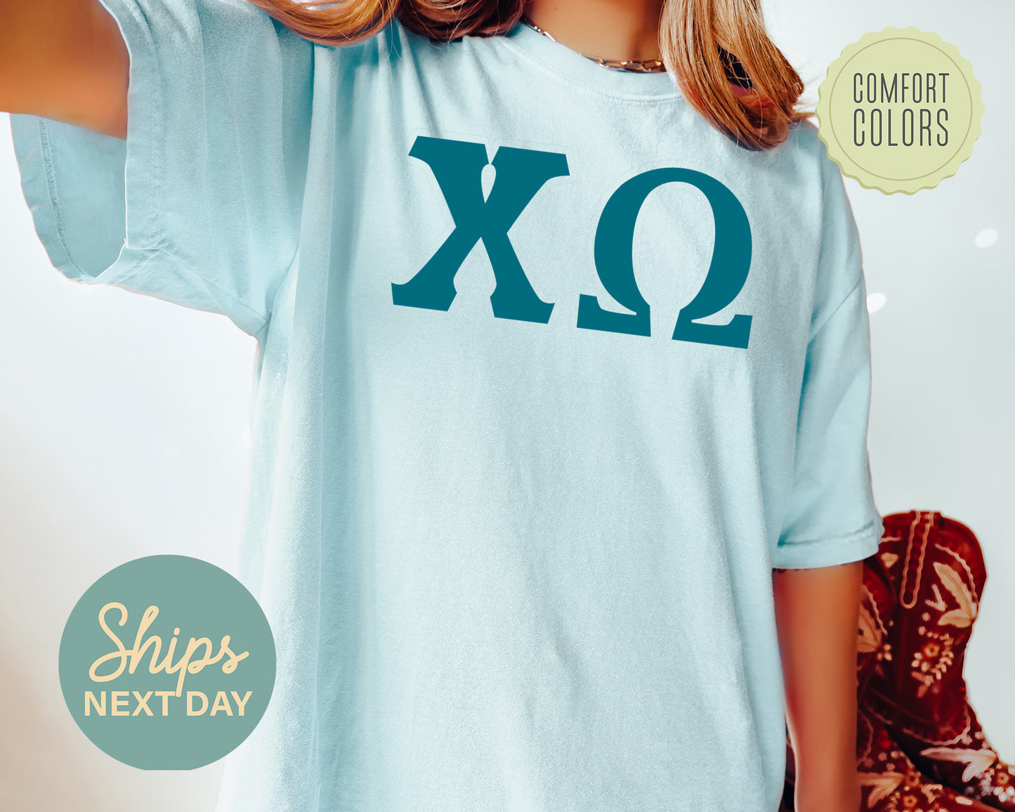Chi Omega Back to the Basics Comfort Colors Sorority T-shirt _ 631g