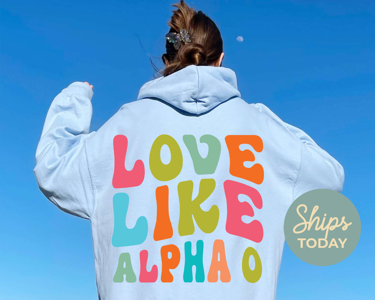 Alpha Omicron Pi Blissful and Vibrant Sorority Hoodie _ 33158g