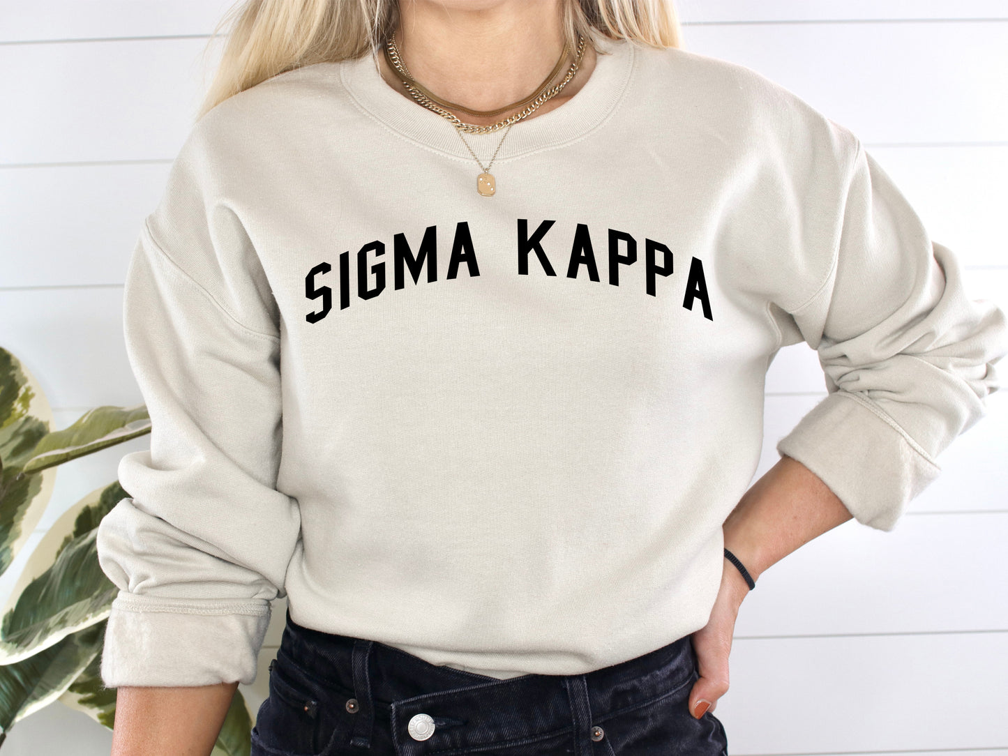 Sigma Kappa Just Bold Sorority Sweatshirt _ 2391g