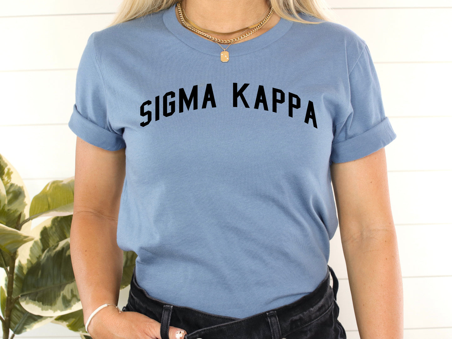 Sigma Kappa Just Bold Sorority T-shirt _ 2391g