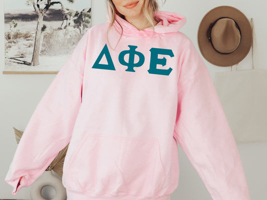 Delta Phi Epsilon Back to the Basics Sorority Hoodie _ 634g