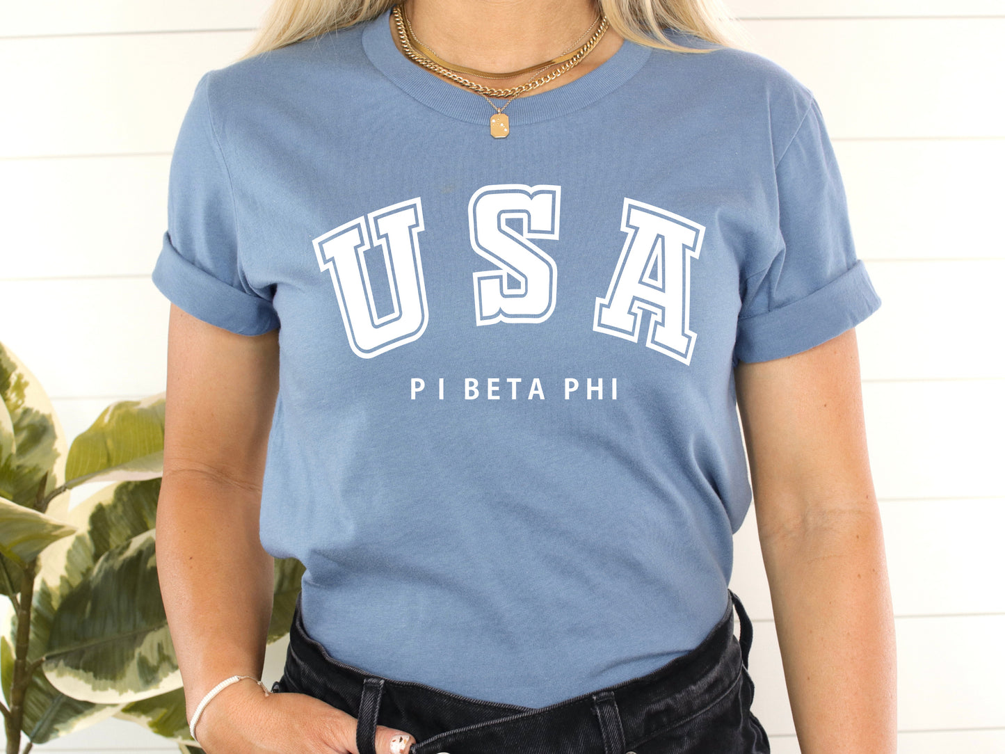 Pi Beta Phi Proud American Sorority T-shirt _ 2311g