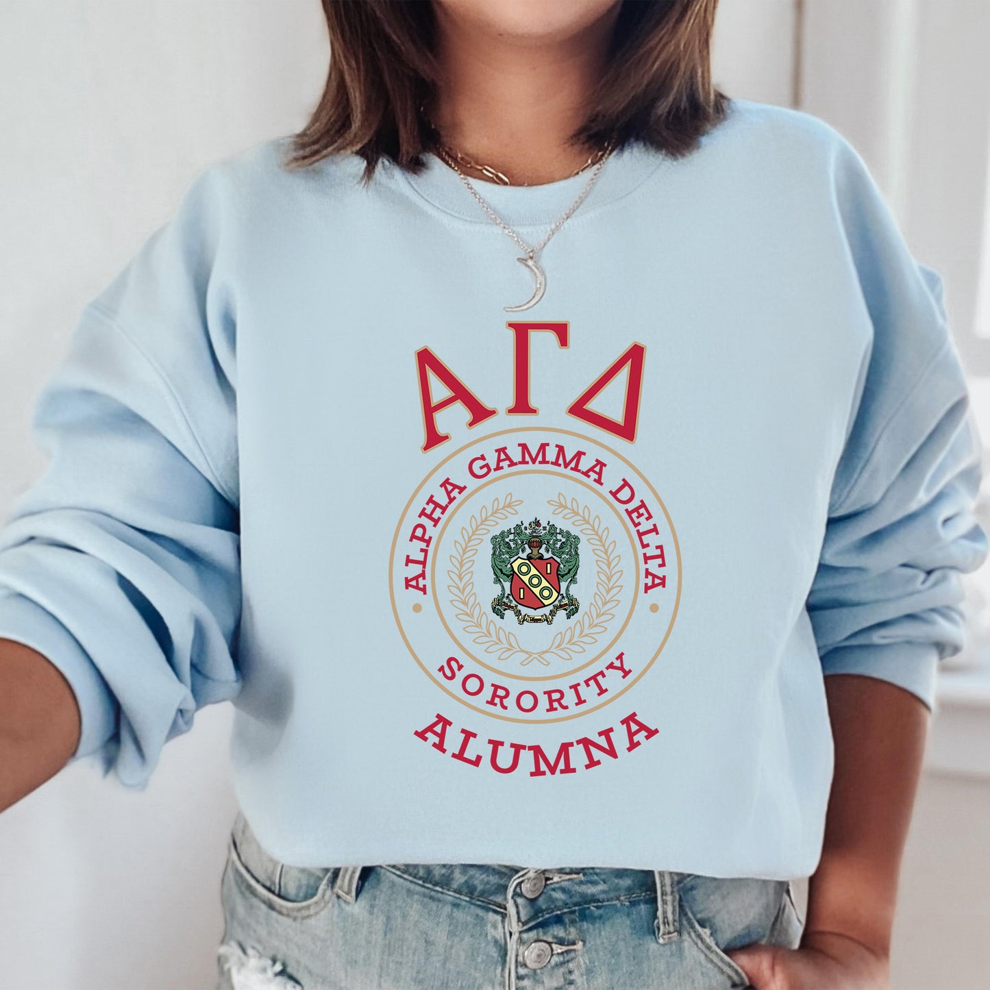 Alpha Gamma Delta Alumna Vintage Sorority Sweatshirt _ 31012g