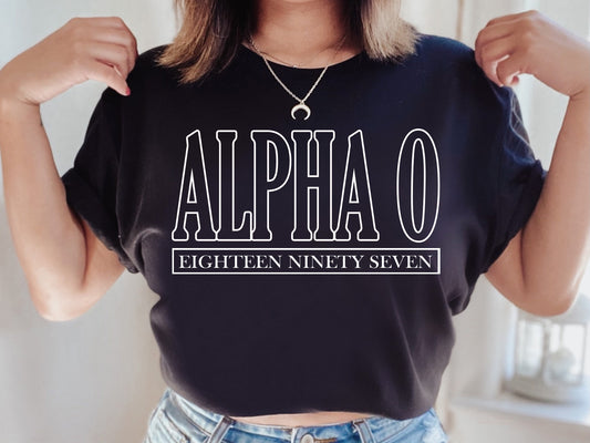 Alpha Omicron Pi Stencil Stacked Sorority T-shirt _ 2138g