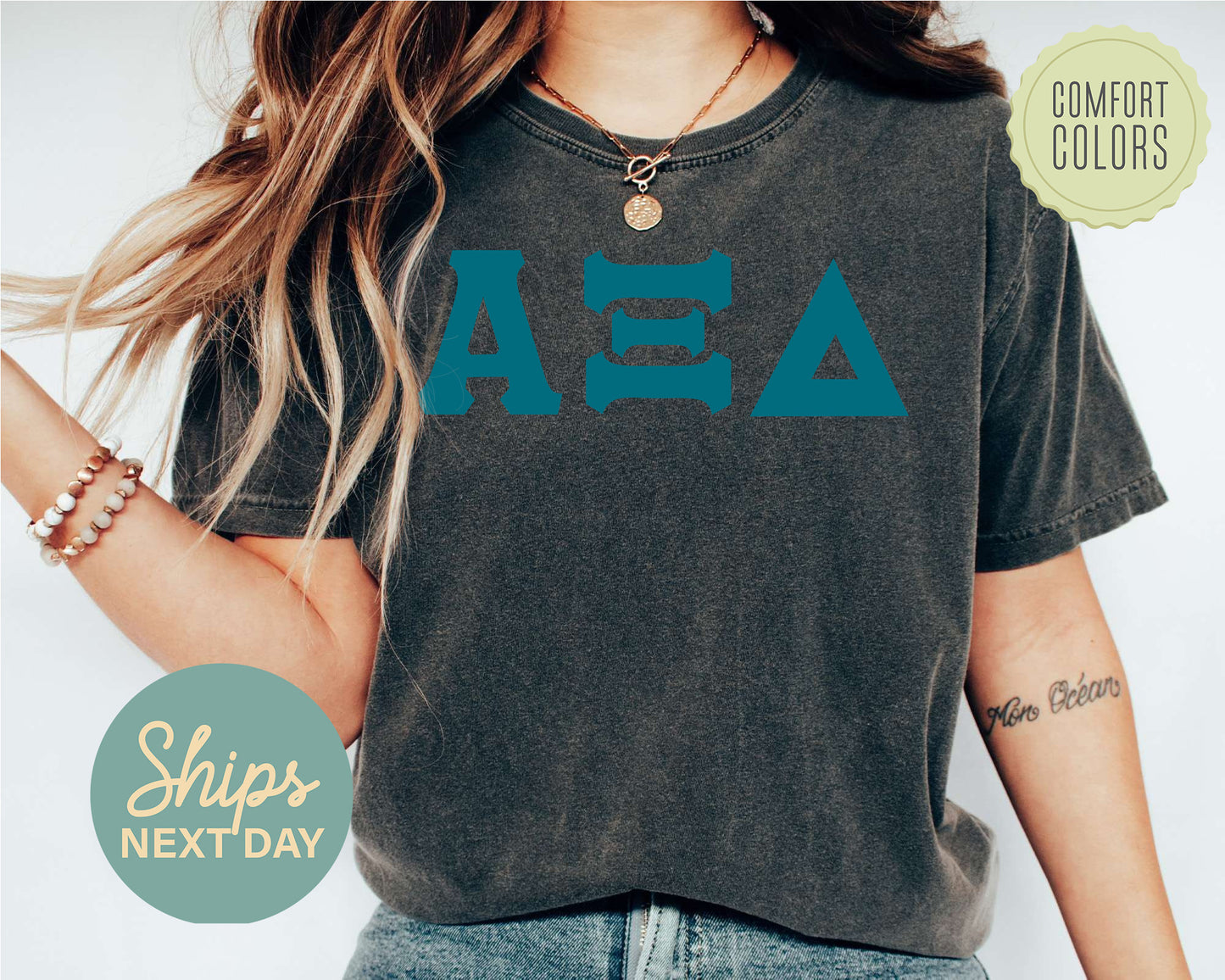 Alpha Xi Delta Back to the Basics Comfort Colors Sorority T-shirt _ 630g