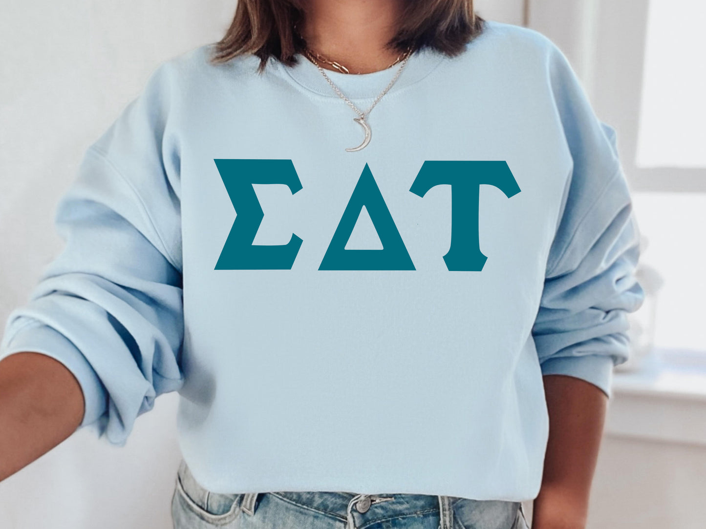 Sigma Delta Tau Back to the Basics Sorority Sweatshirt _ 643g