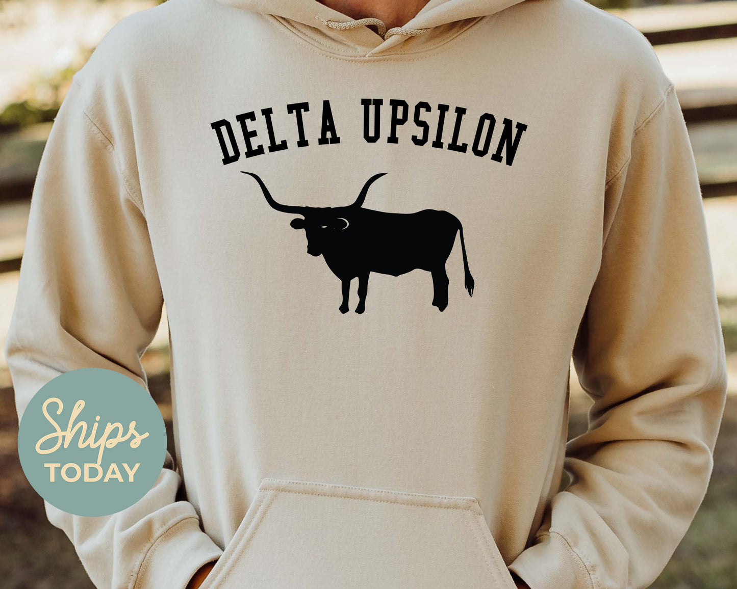 Delta Upsilon Long Horn Fraternity Hoodie _ 1533g