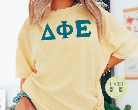 Delta Phi Epsilon Back to the Basics Comfort Colors Sorority T-shirt _ 634g