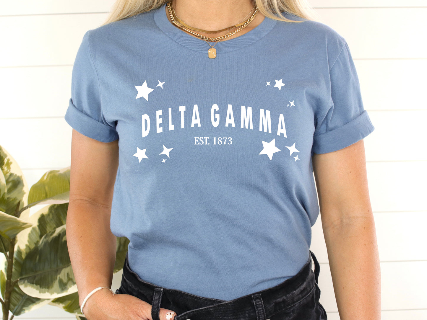 Delta Gamma Arched Star Sorority T-shirt _ 2275g