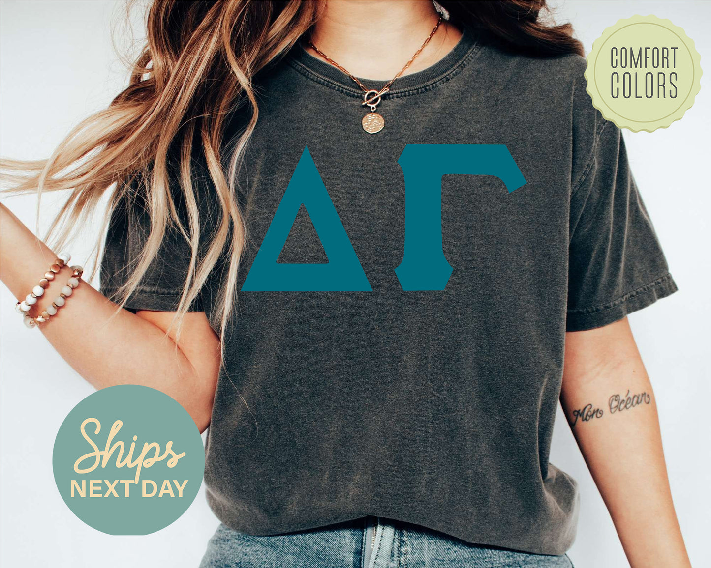 Delta Gamma Back to the Basics Comfort Colors Sorority T-shirt _ 633g