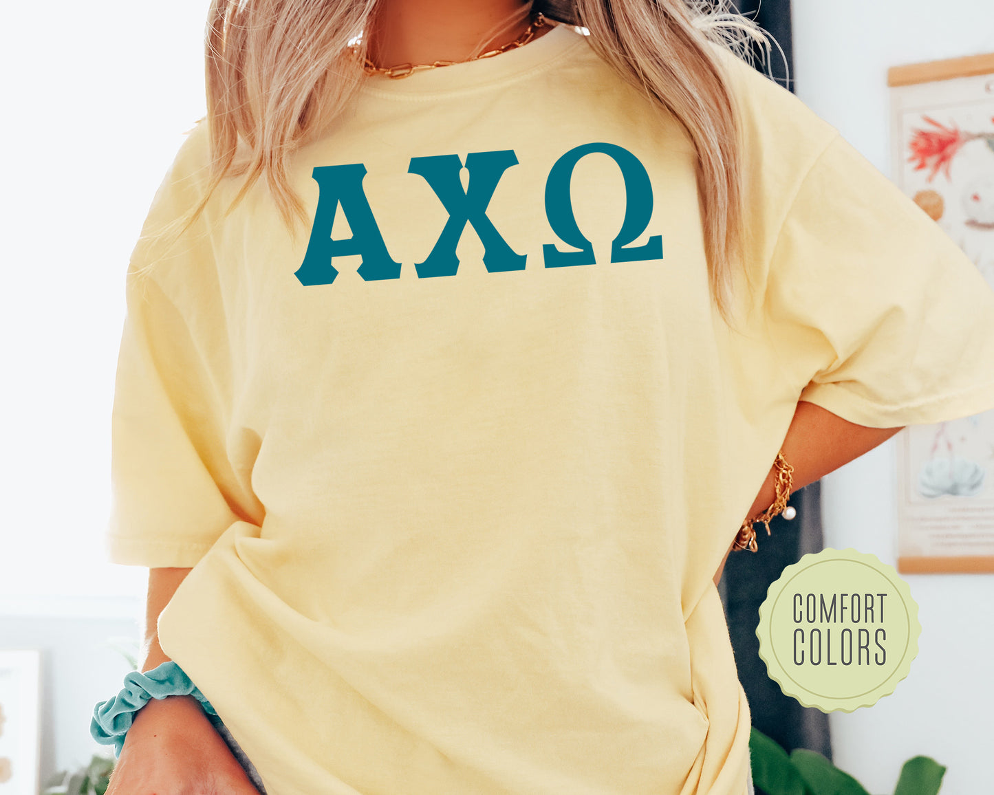 Alpha Chi Omega Back to the Basics Comfort Colors Sorority T-shirt _ 622g