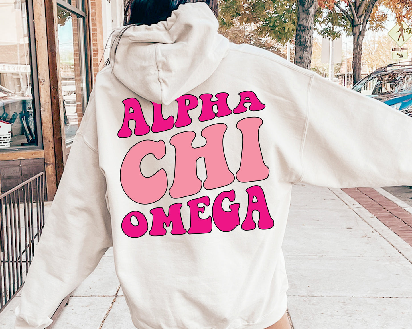 Alpha Chi Omega Shades of Pink Sorority Hoodie _ 32972g