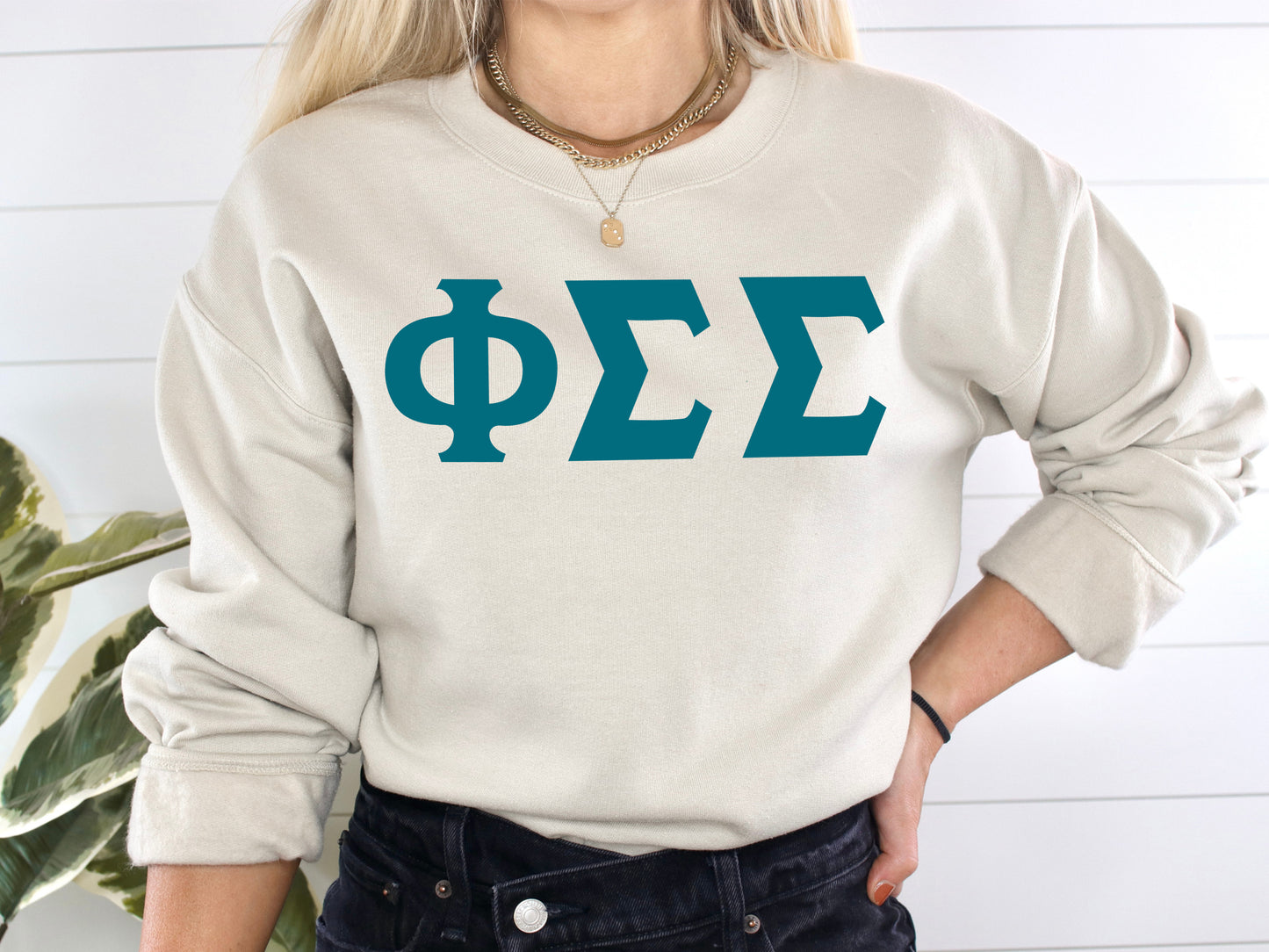 Phi Sigma Sigma Back to the Basics Sorority Sweatshirt _ 341g