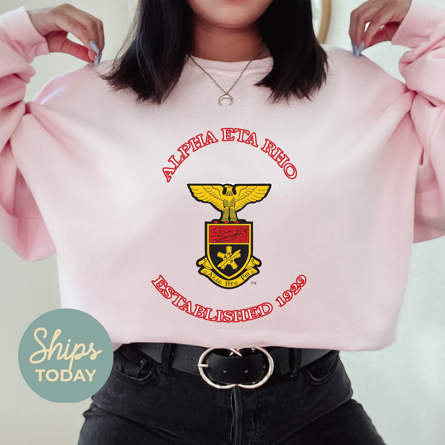 Alpha Eta Rho Iconic Insignia COED Sweatshirt _ 35663g