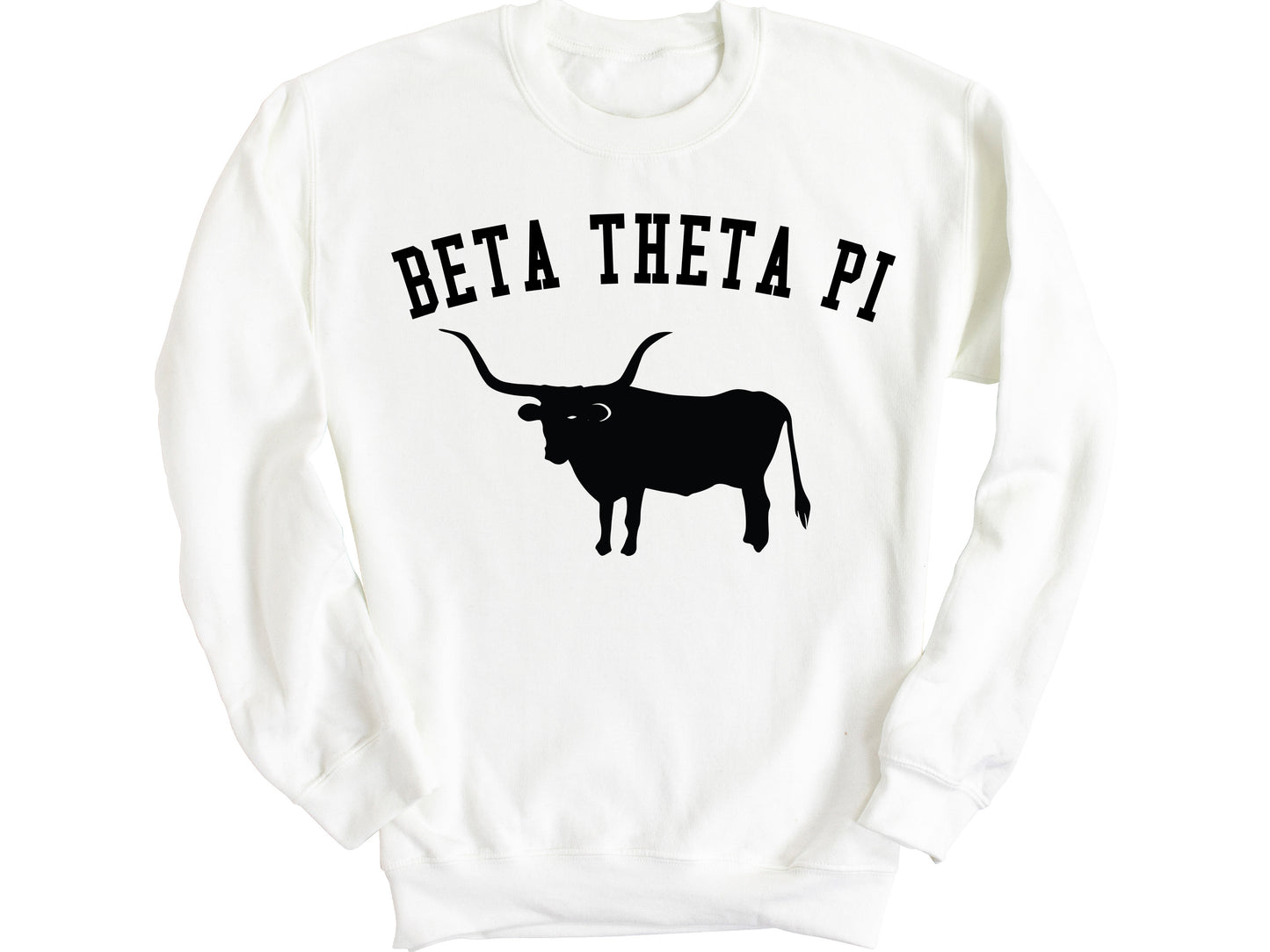 Beta Theta Pi Long Horn Fraternity Sweatshirt _ 1528g