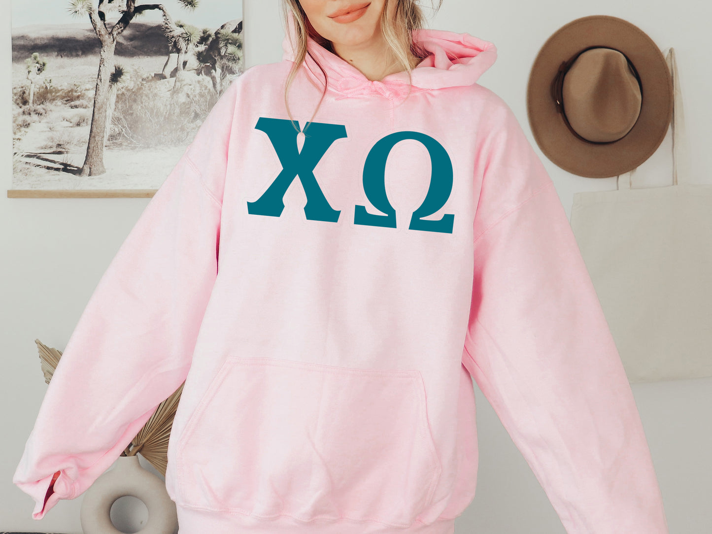 Chi Omega Back to the Basics Sorority Hoodie _ 631g
