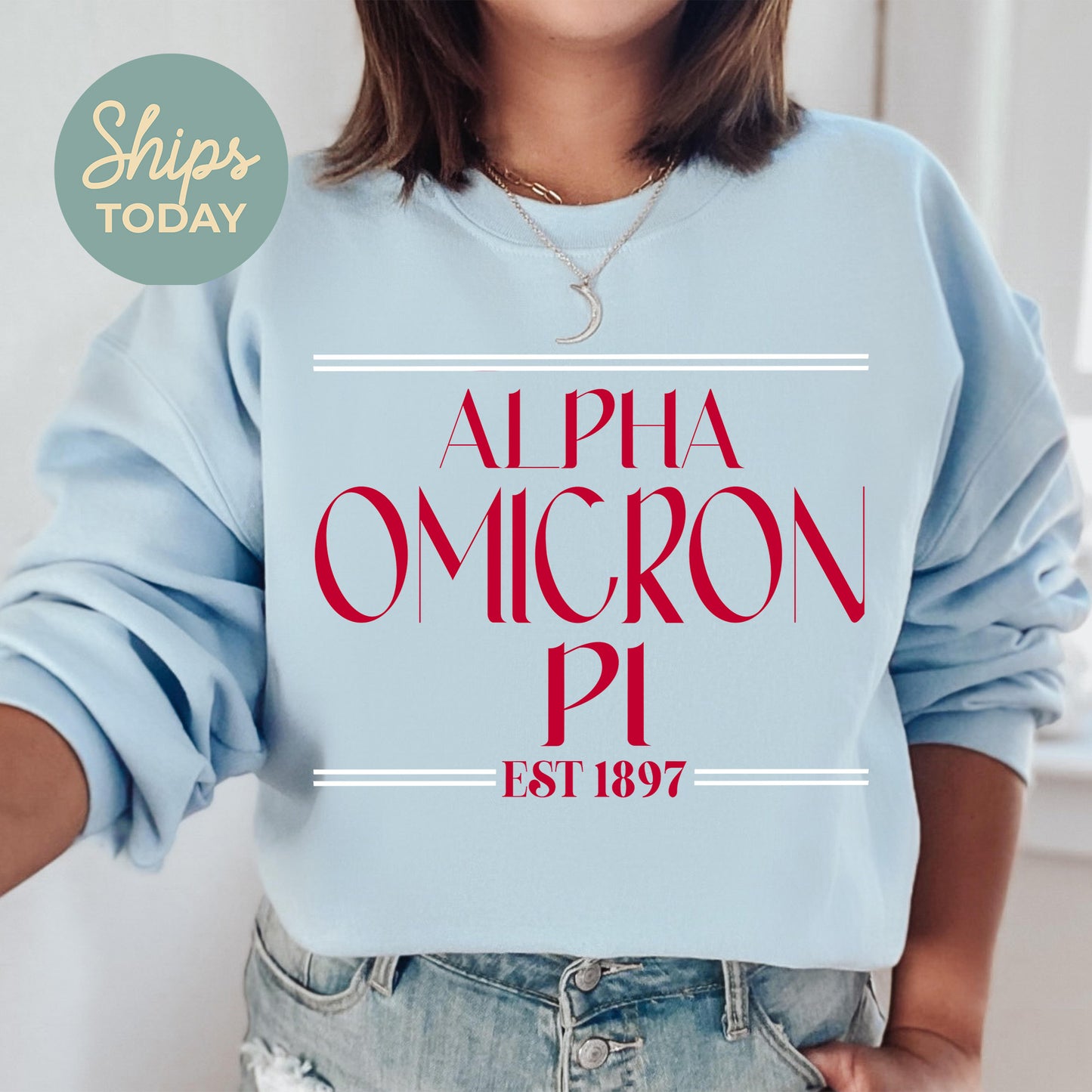 Alpha Omicron Pi Greek Harmony Sorority Sweatshirt _ 34968g