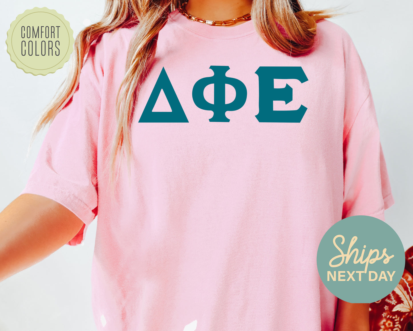 Delta Phi Epsilon Back to the Basics Comfort Colors Sorority T-shirt _ 634g