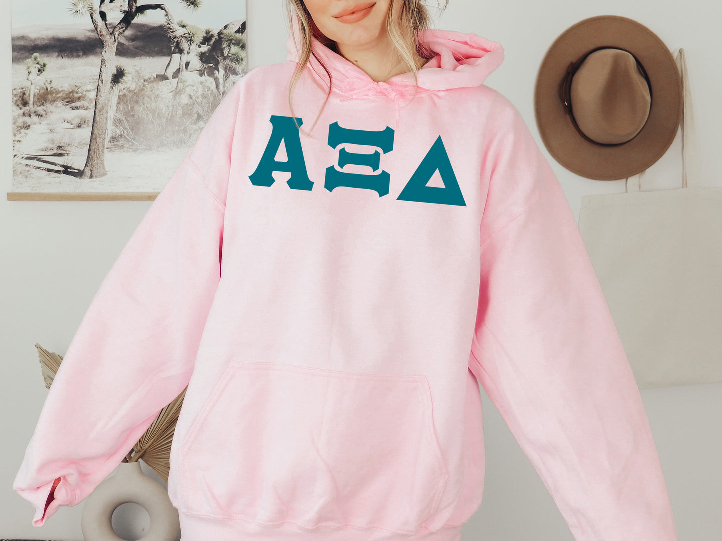 Alpha Xi Delta Back to the Basics Sorority Hoodie _ 630g