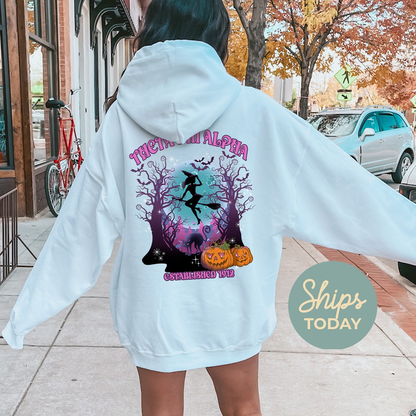Zeta Tau Alpha Halloween Witch Sorority Hoodie _ 36251g